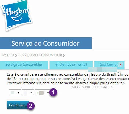 Formulário Assistência Técnica Hasbro